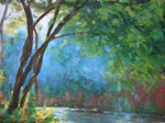 Landscape - Trees Gallery
