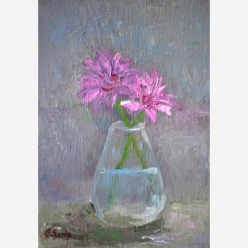 Chrysanthemums
