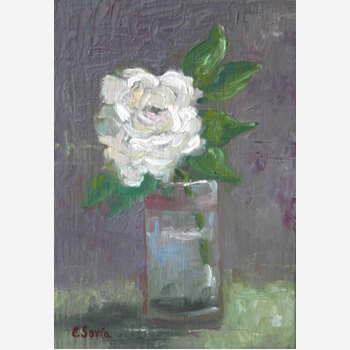 Gardenia in a Glass