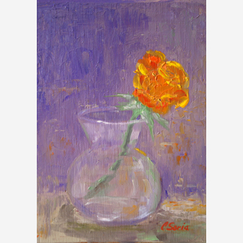 Rose in Glass Vase